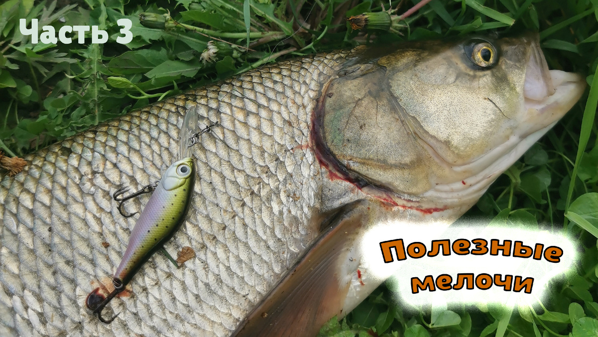 Полезные мелочи для рыбалки часть 3, фото из личного архива