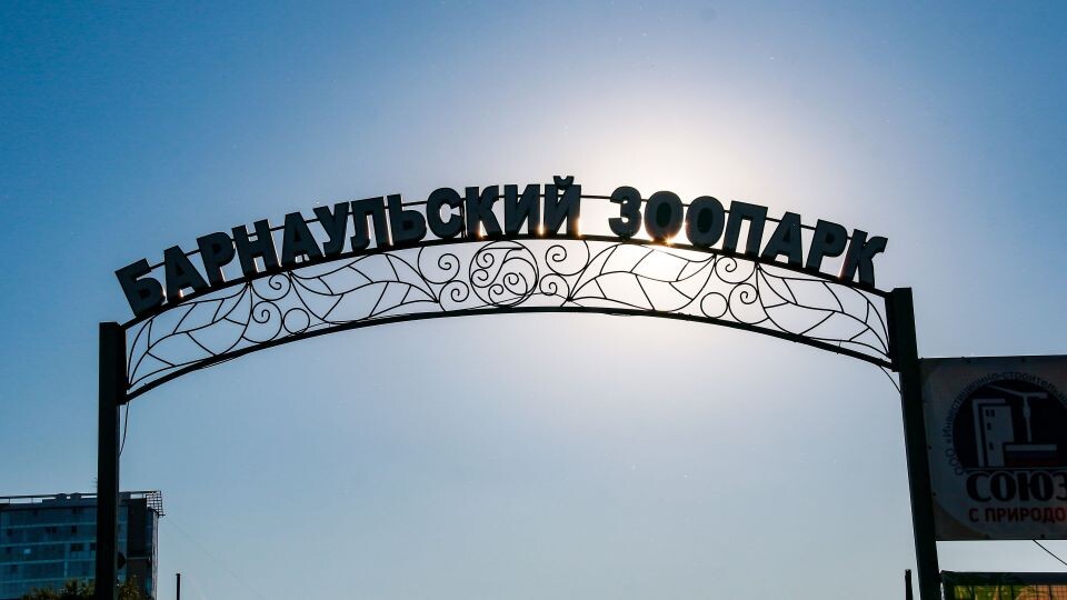    Барнаульский зоопарк. Источник: Виталий Барабаш/"Толк"