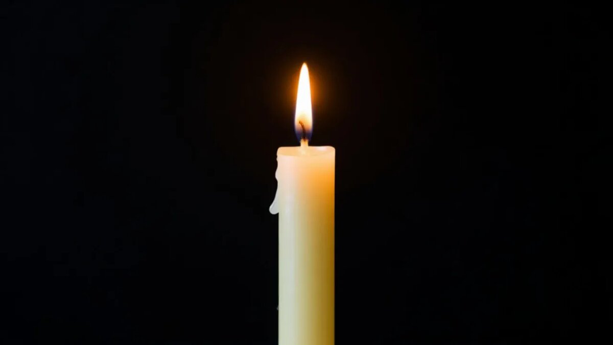    Сгенерировано ИИ