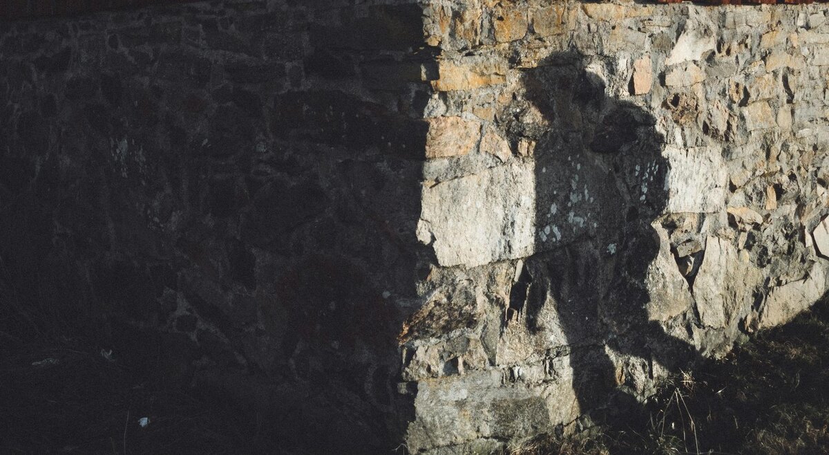 Фото: Joakim Nådell / Unsplash