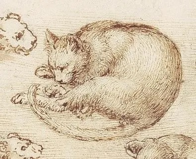 Фрагмент рисунка Леонардо да Винчи "Кошки, львы и дракон", 1513-1518 