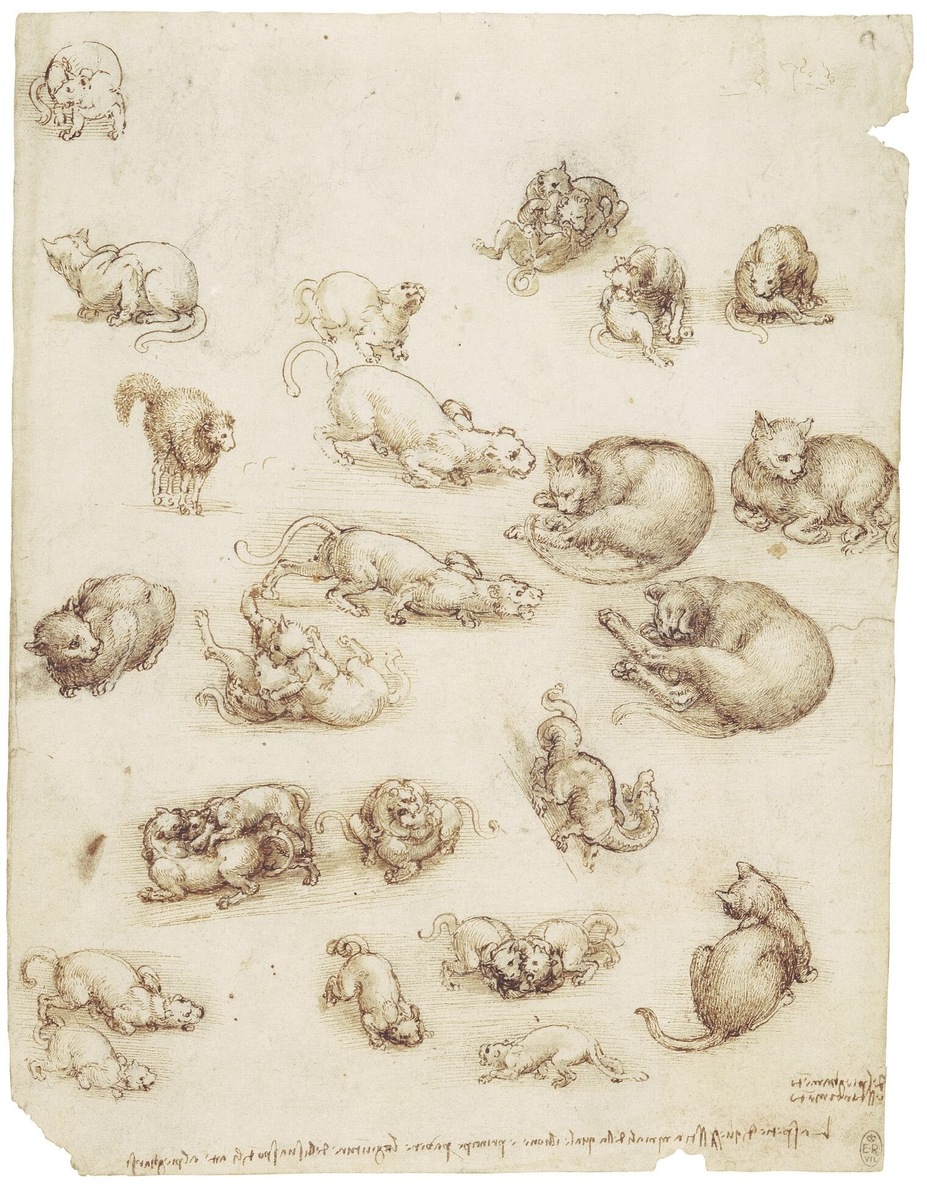 Рисунок Леонардо да Винчи "Кошки, львы и дракон", 1513-1518, Королевская коллекция Виндзора