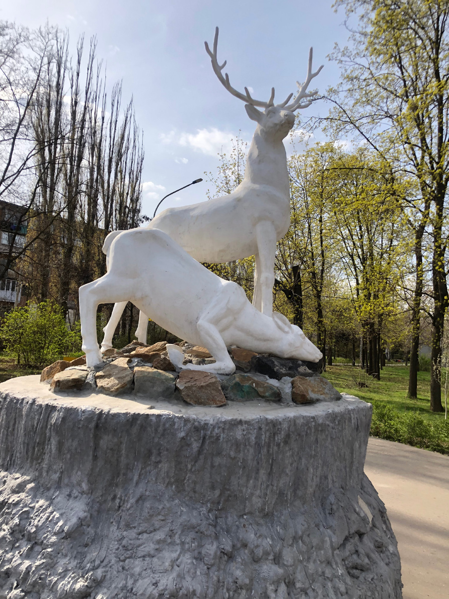 Фото сделала в парке Волгоградгидростроя