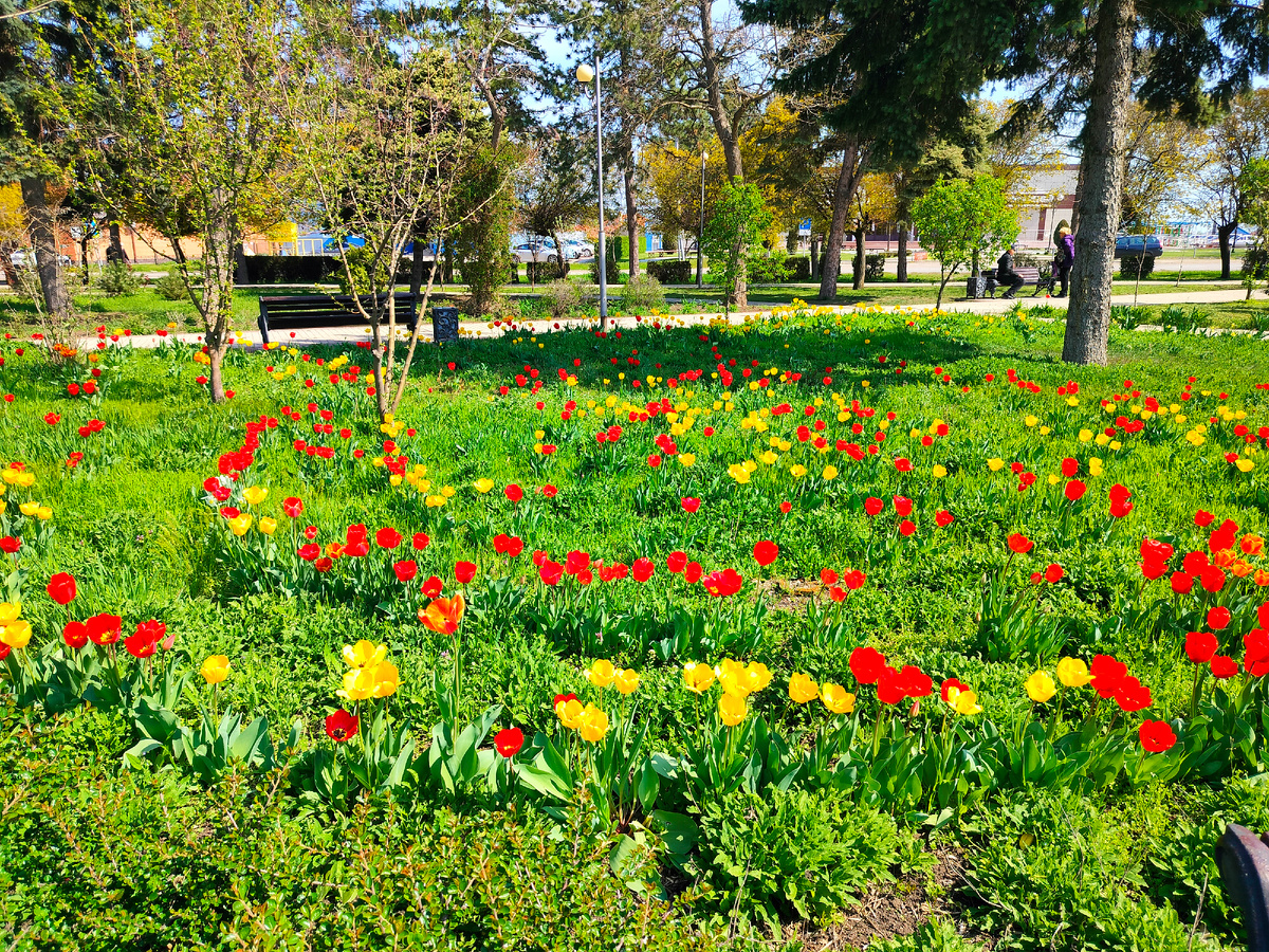 Яркость красок завораживает. 