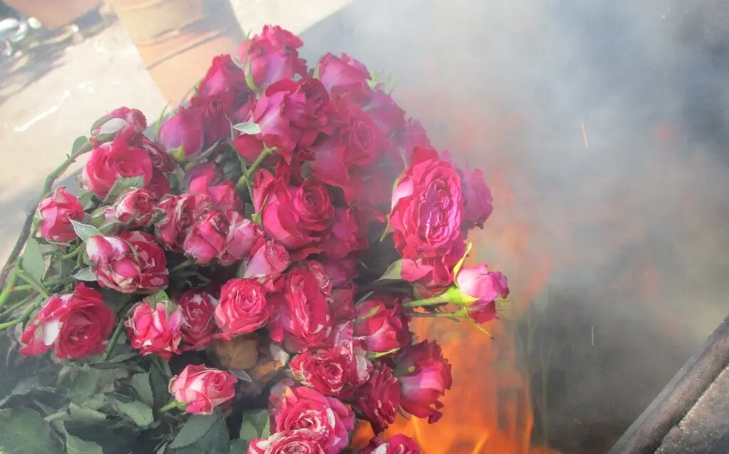    Фото: пресс-служба Северо-Западного межрегионального управления Россельхознадзора.