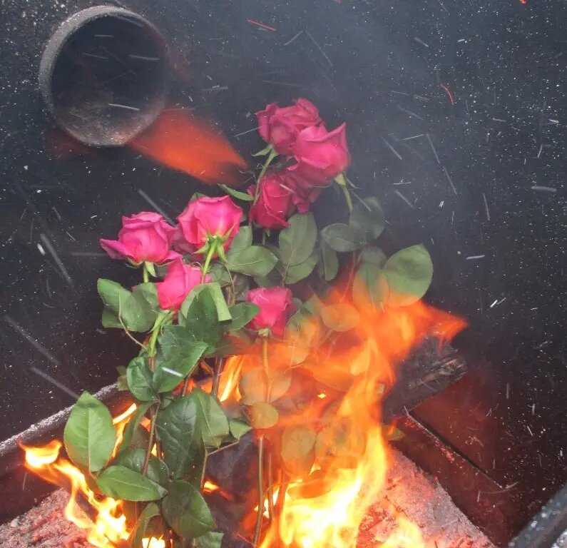    Фото: пресс-служба Северо-Западного межрегионального управления Россельхознадзора.