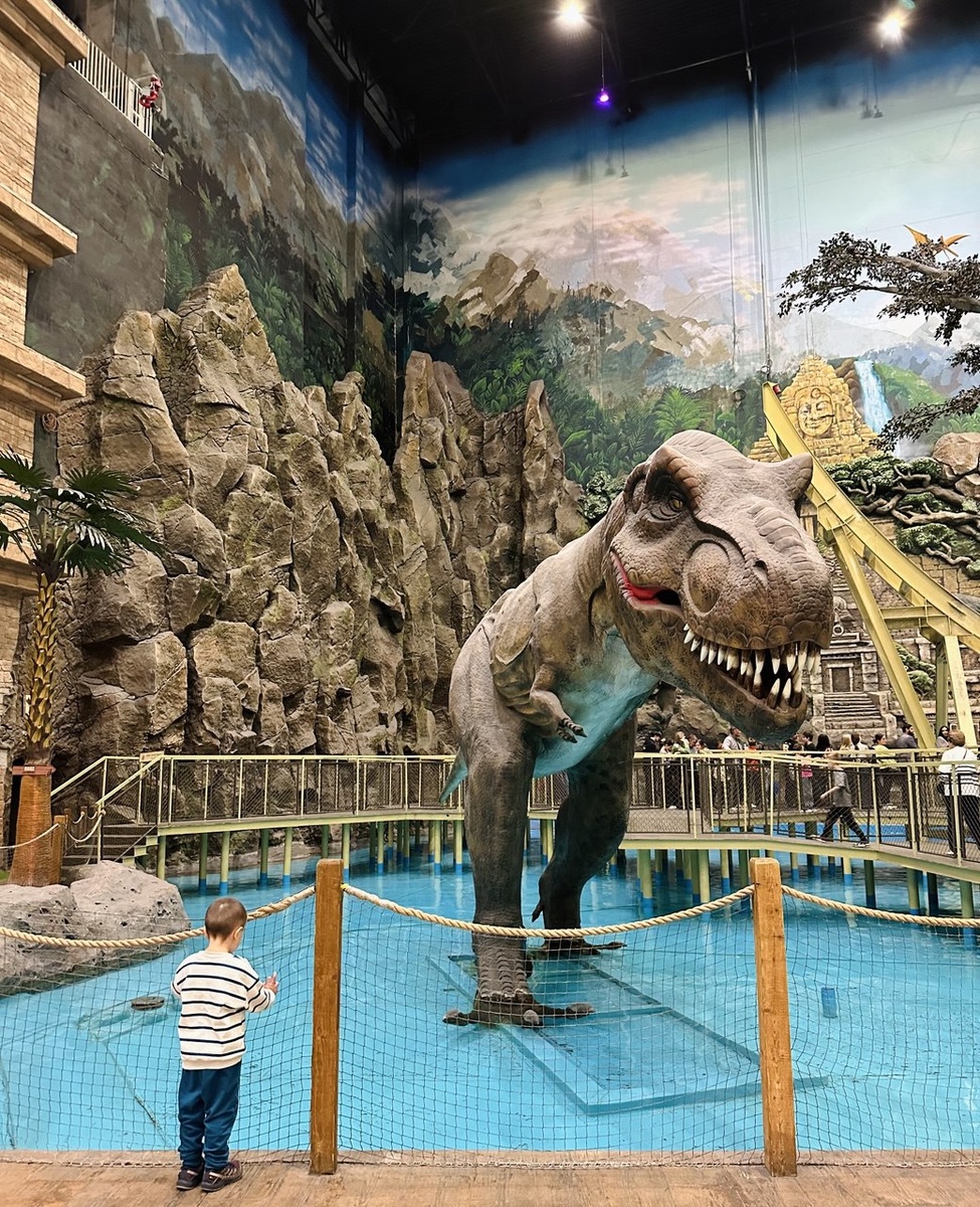 Интерьер локации "Маугли в стране динозавров"