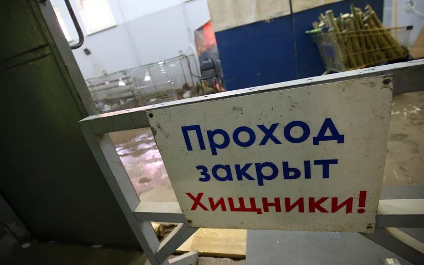    Госцирк Удмуртии наказали за нарушения при содержании животных