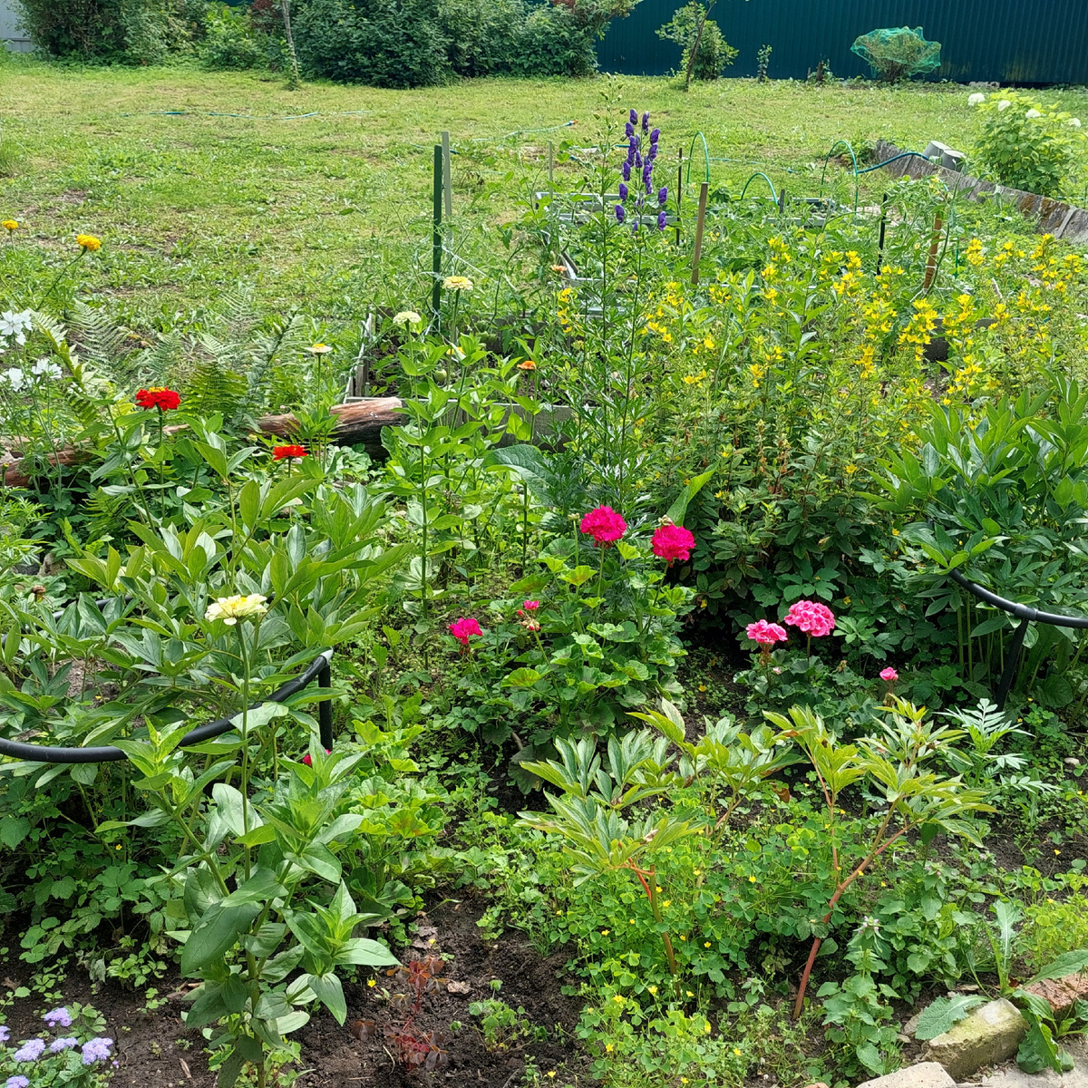 Фото автора.