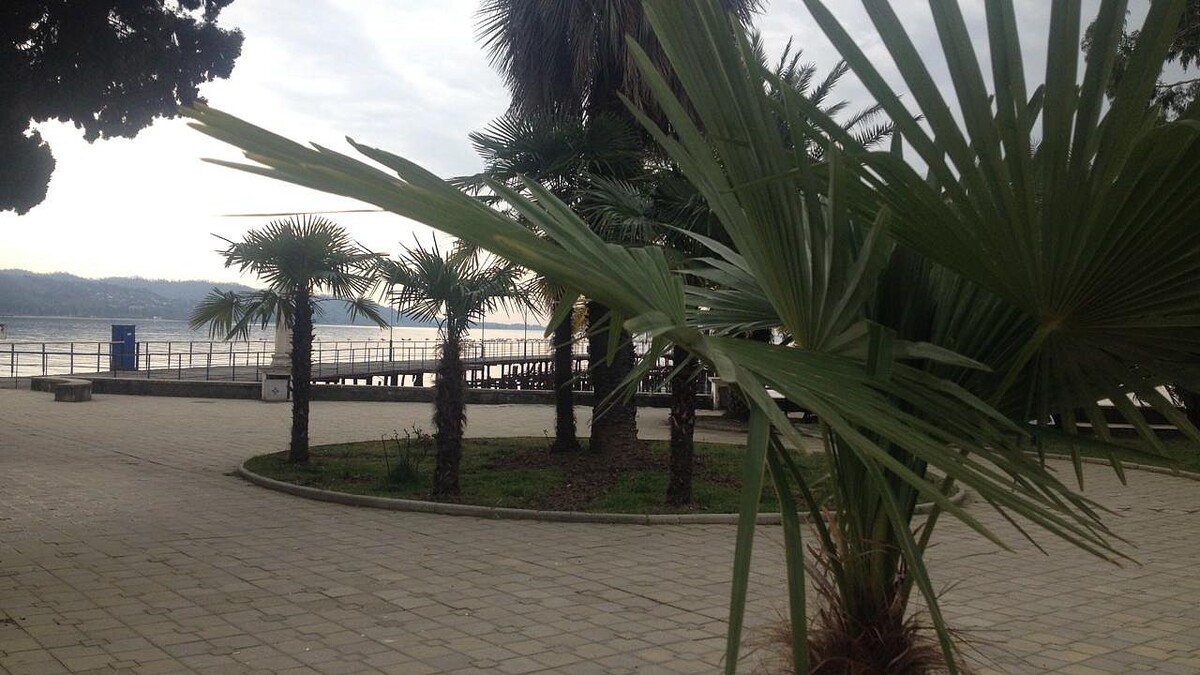    Фото: телеканал «Краснодар»