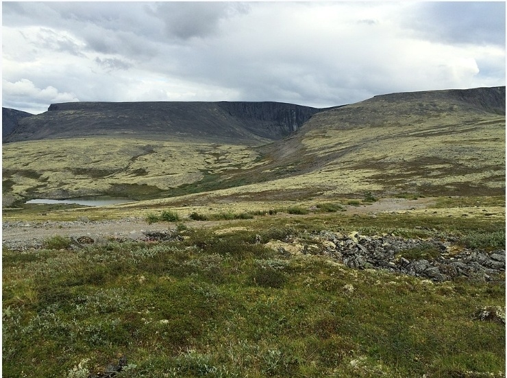 Ловозерские тундры. Изображение из открытого источника с сайта www.wikipedia.com, изображение используется в иллюстративных целях.