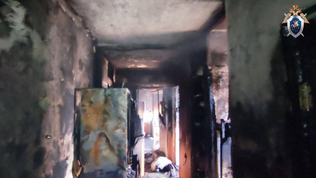    ГСУ СК России по Санкт-Петербургу