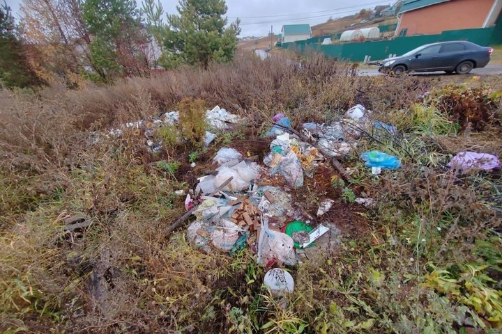 Выявлено 551 нарушение природоохранного законодательства, 268 из них — несанкционированные свалки. предоставлено Минэкологии РТ