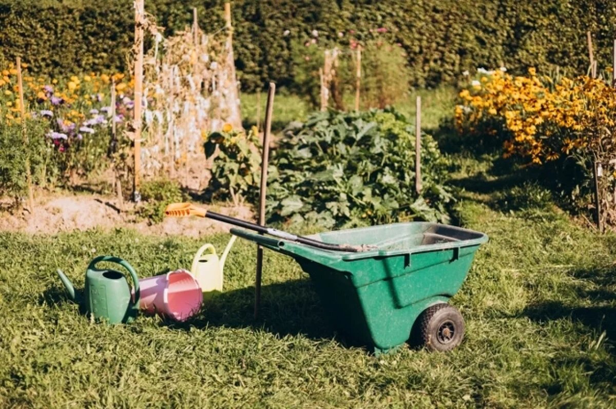    Агроном Зайцев: апрельский снег может спасти будущий урожай
