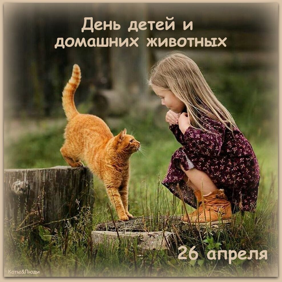 Коллаж автора. Источник фото: funart.pro