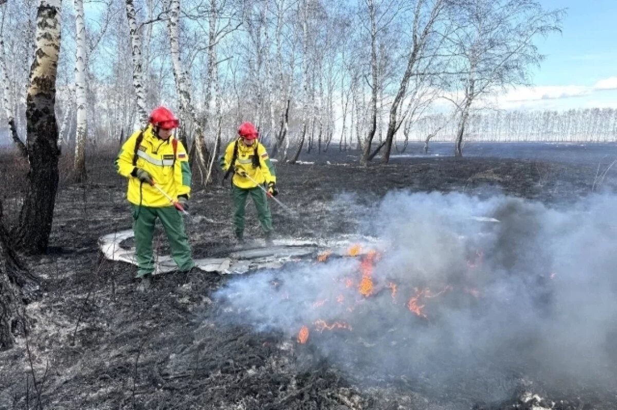    Рыбаки Омской области устроили крупный пожар в лесу