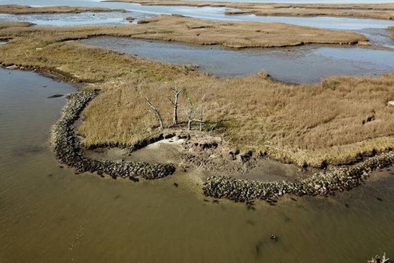 Курган Адамс-Бэй стремительно разрушался в XXI веке, особенно после 2015 года. На фото — его последние фрагменты и искусственный риф из устричных раковин. Его создала организация Coalition for Coastal Louisiana (CRCL) из переработанных раковин и теперь поддерживает. Источник: Jayur Mehta