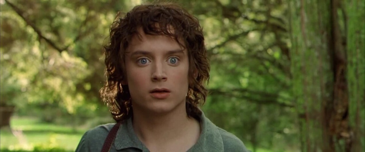 Фродо — клиент на старте пути