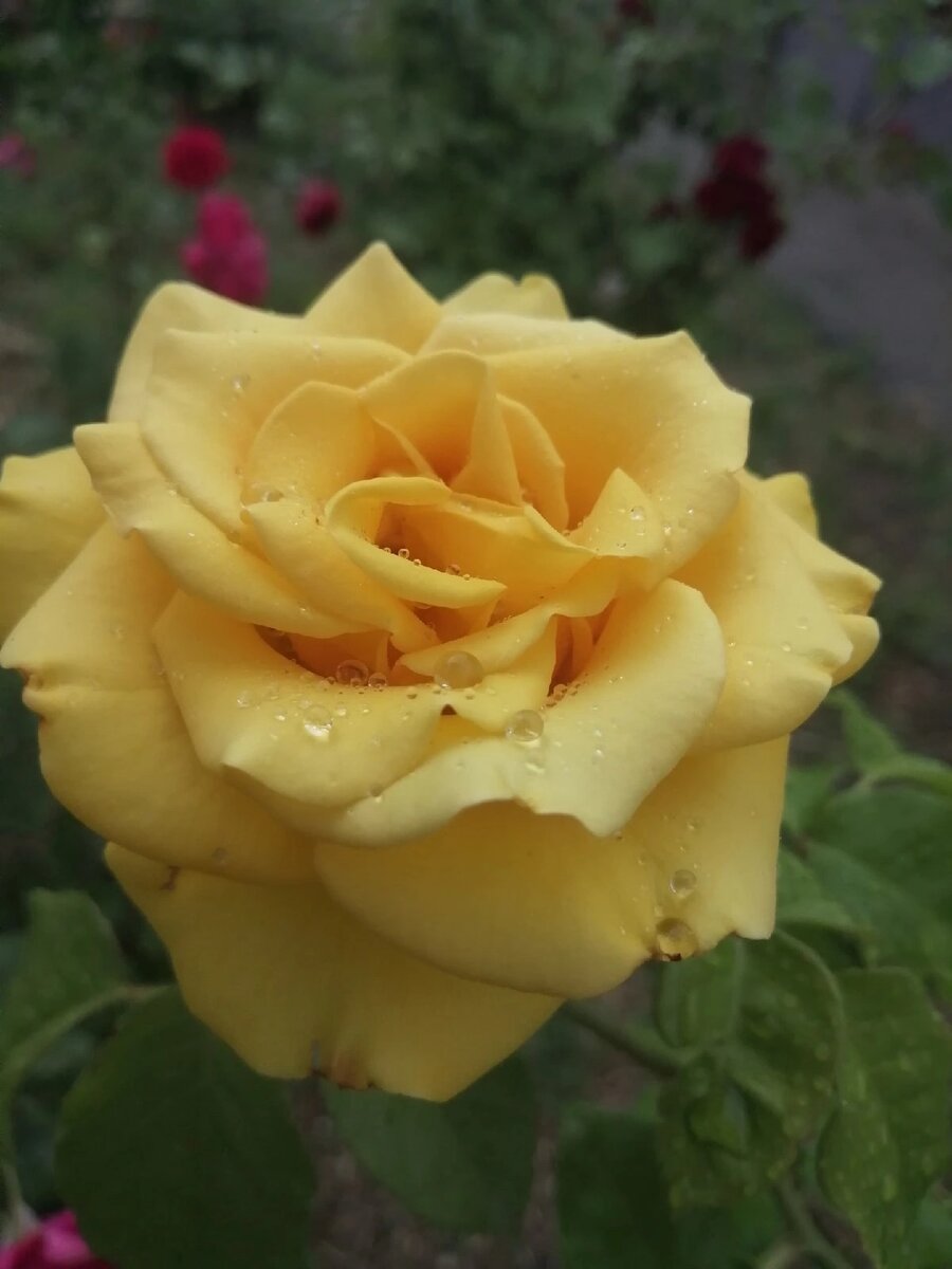 #ободрение #ободрениенакаждыйдень #ободрениесегодня #ободрениенадень #ободрение👍 