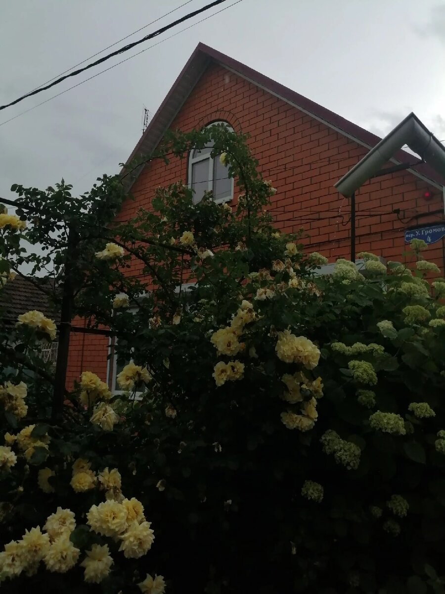 #надежда #вера #любовь #счастье #мечта 