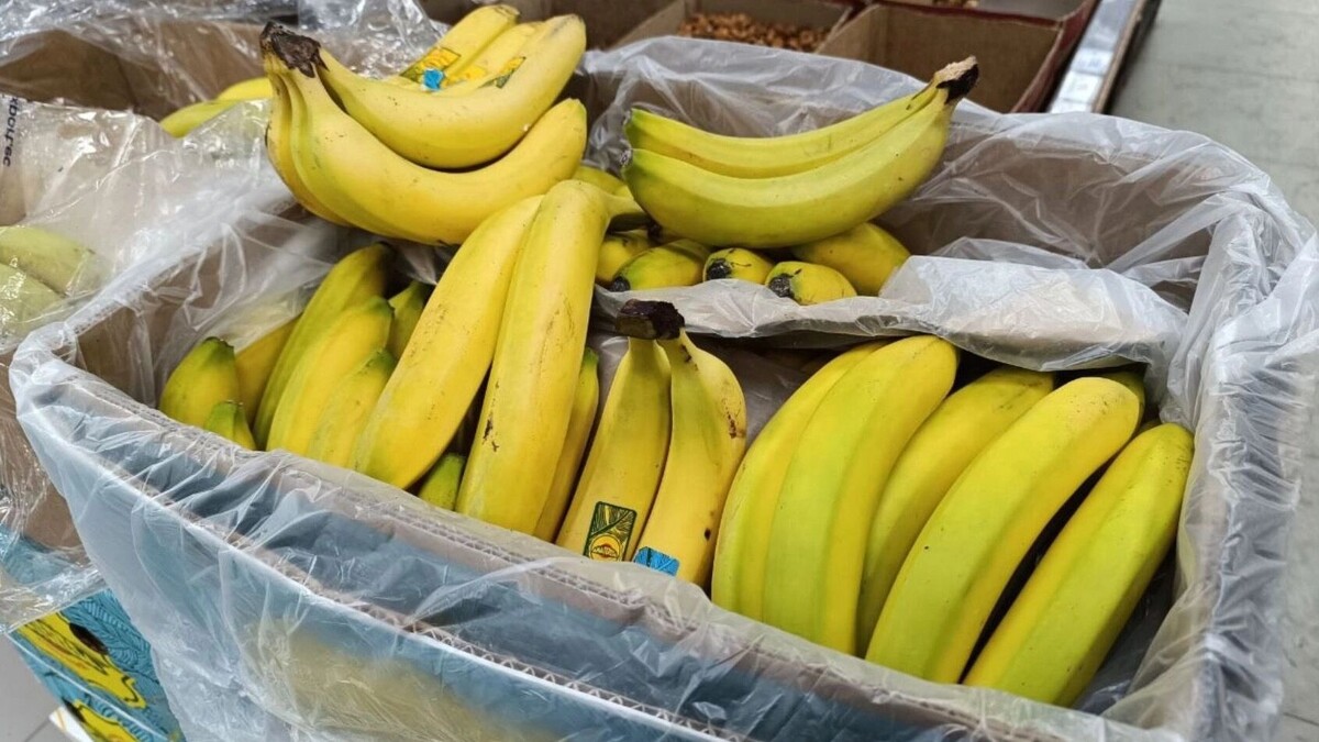     Источник: prmira.ru