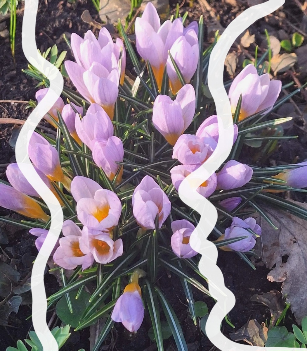 Фотоколлаж - собственность автора канала.