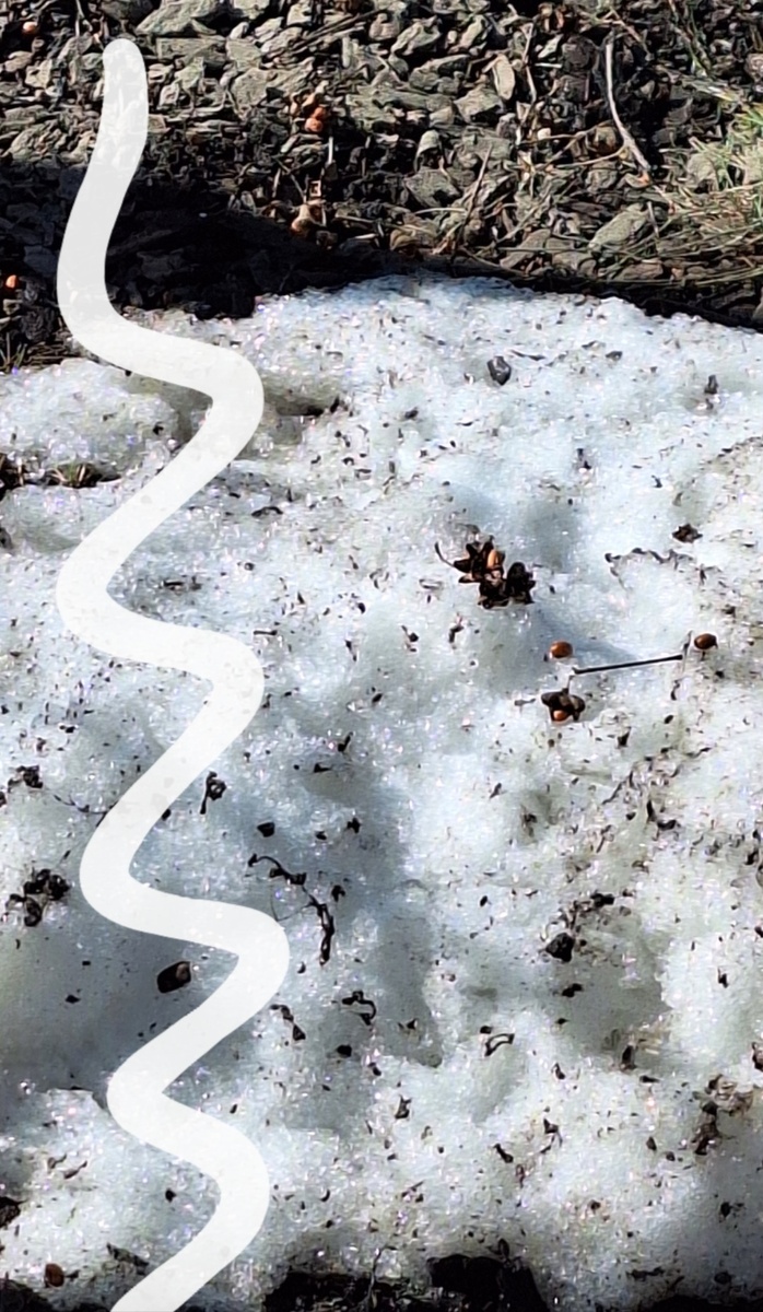 Фотоколлаж - собственность автора канала.