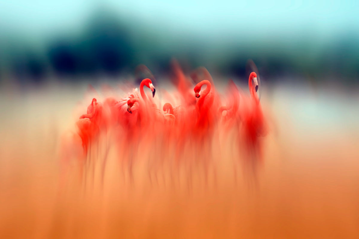 Прекрасное на миг отвлекает от личных стремлений и недовольства