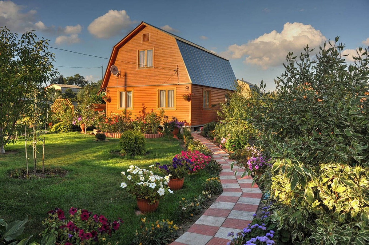 Источник Яндекс картинки