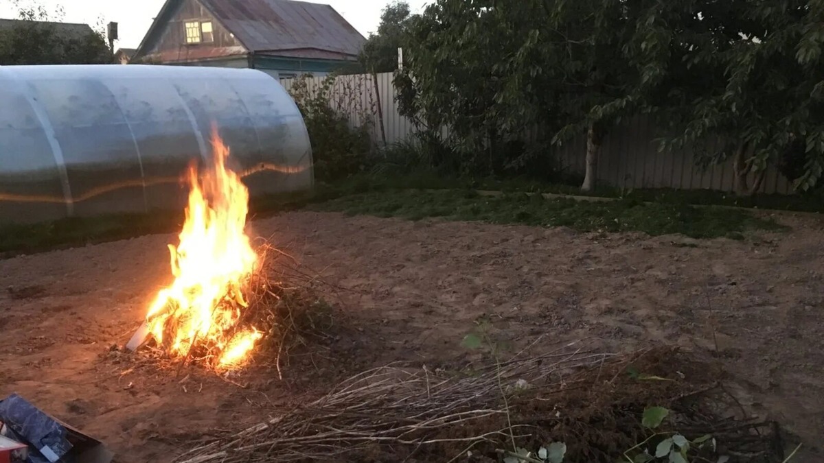 Источник https://avatars.mds.yandex.net/i?id=2edf55d738752b165e5251ae5dfaaaf8_l-8349641-images-thumbs&n=13