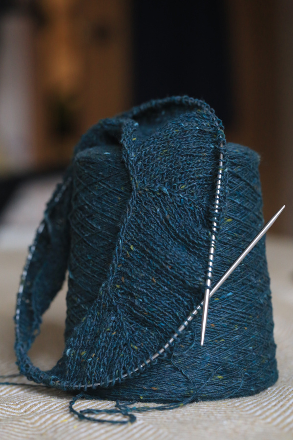 Вечерело. Вяло ковыряла спицами донегал))