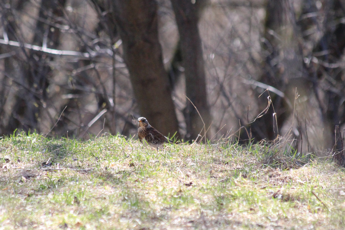 Все фото мои.