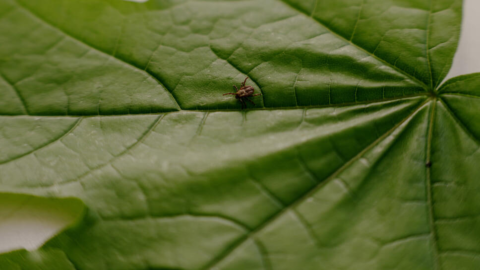 Фото: Мария Бакланова / Коммерсантъ