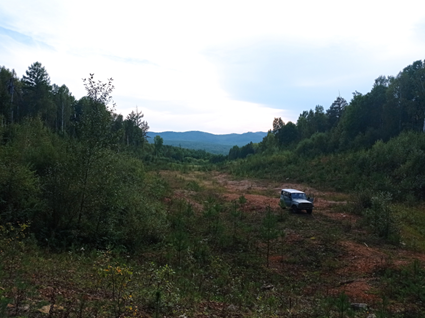 Рисунок 1. Общий вид сверу вниз на долину россыпи в пади «Дубодерня»