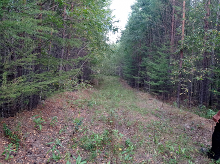 Рисунок 2. Месторождение россыпного золота «Дубодерня»: дамба в средней части долины 