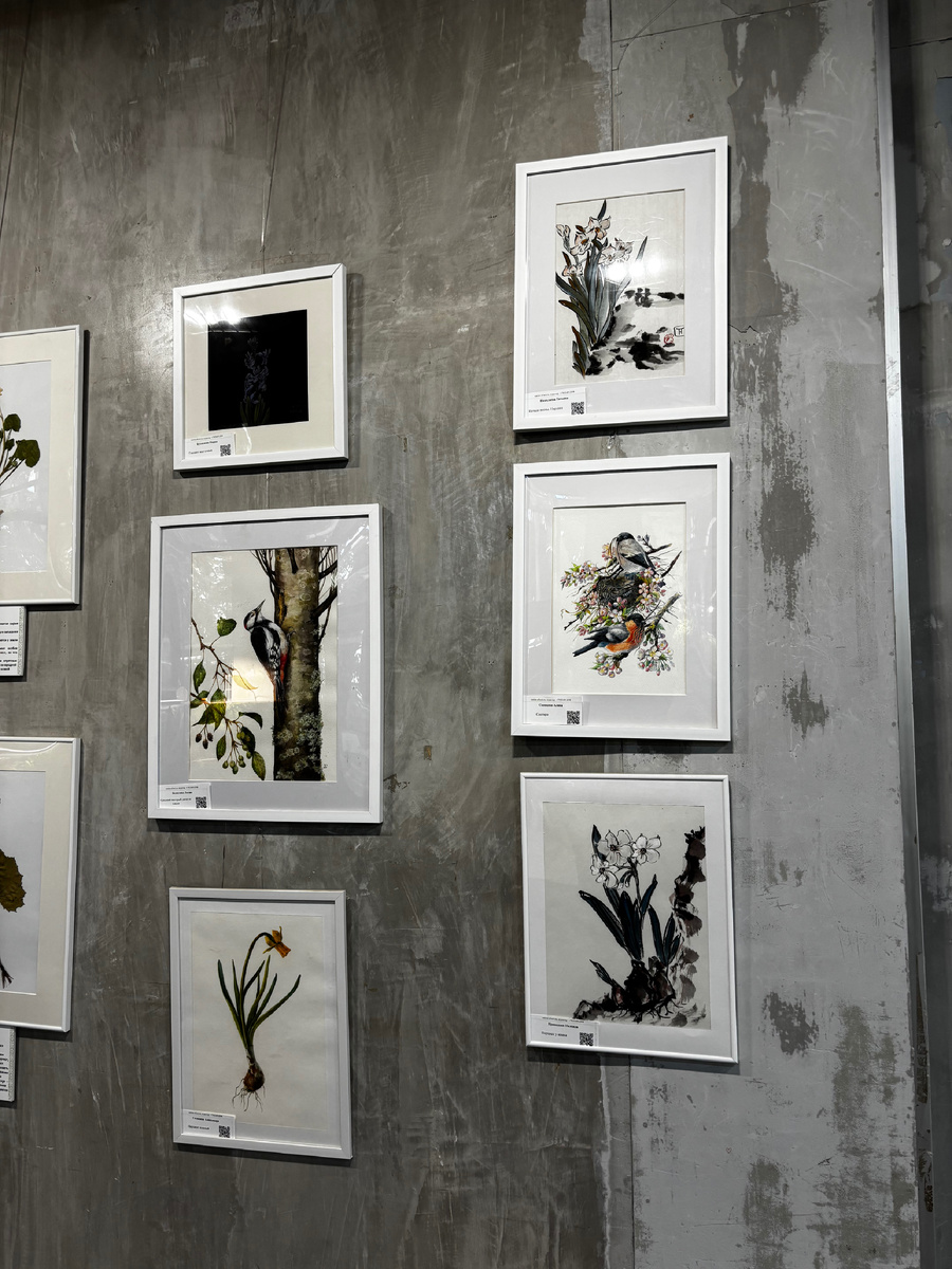 Картины в фое. Фото автора