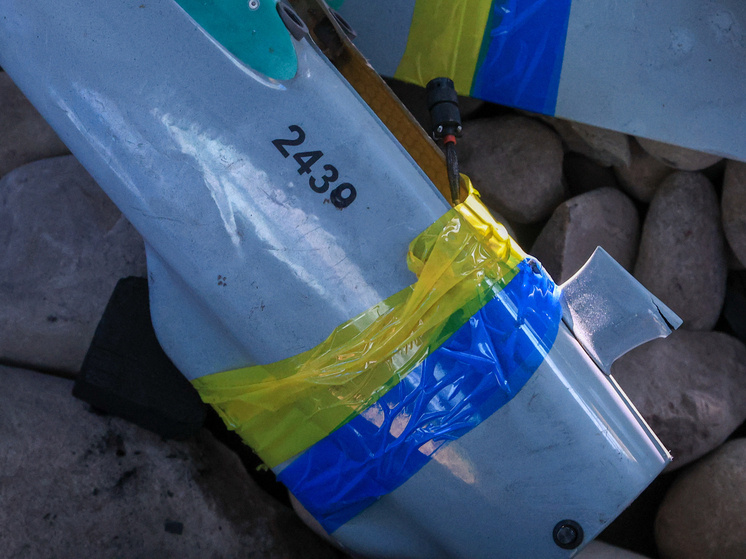 Shatokhina Natalia/news.ru/Global Look Press
