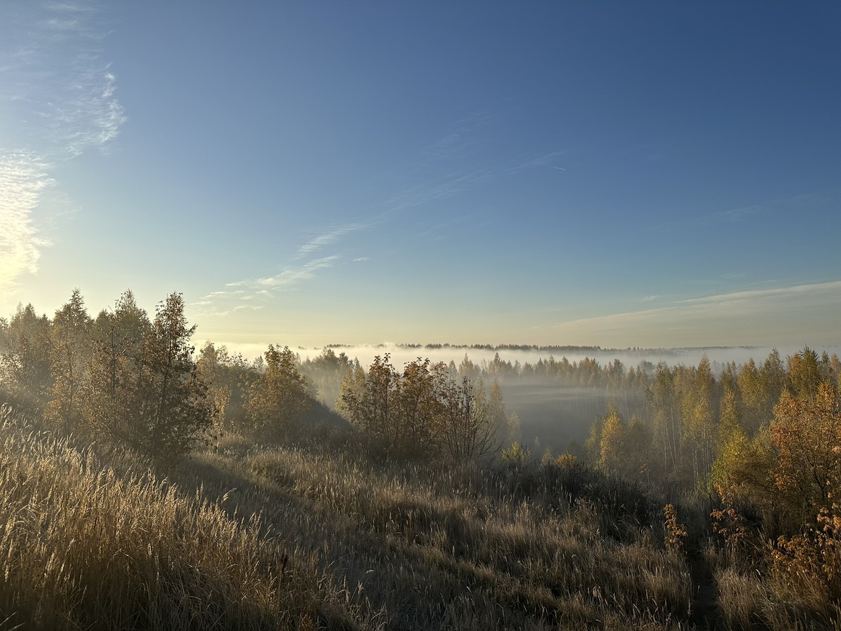 Туман. Синий или жёлтый?