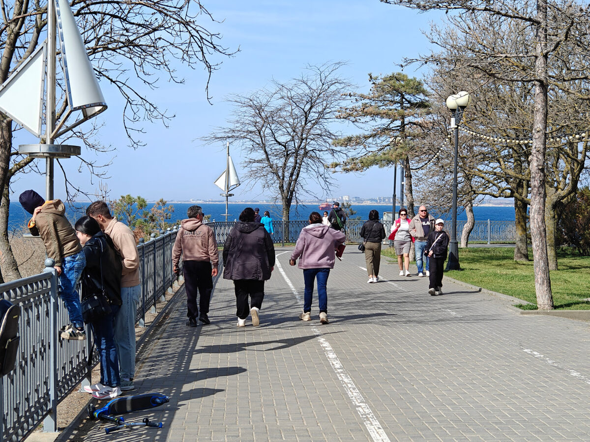    Фото: Юрий Серебренников/BFM Кубань