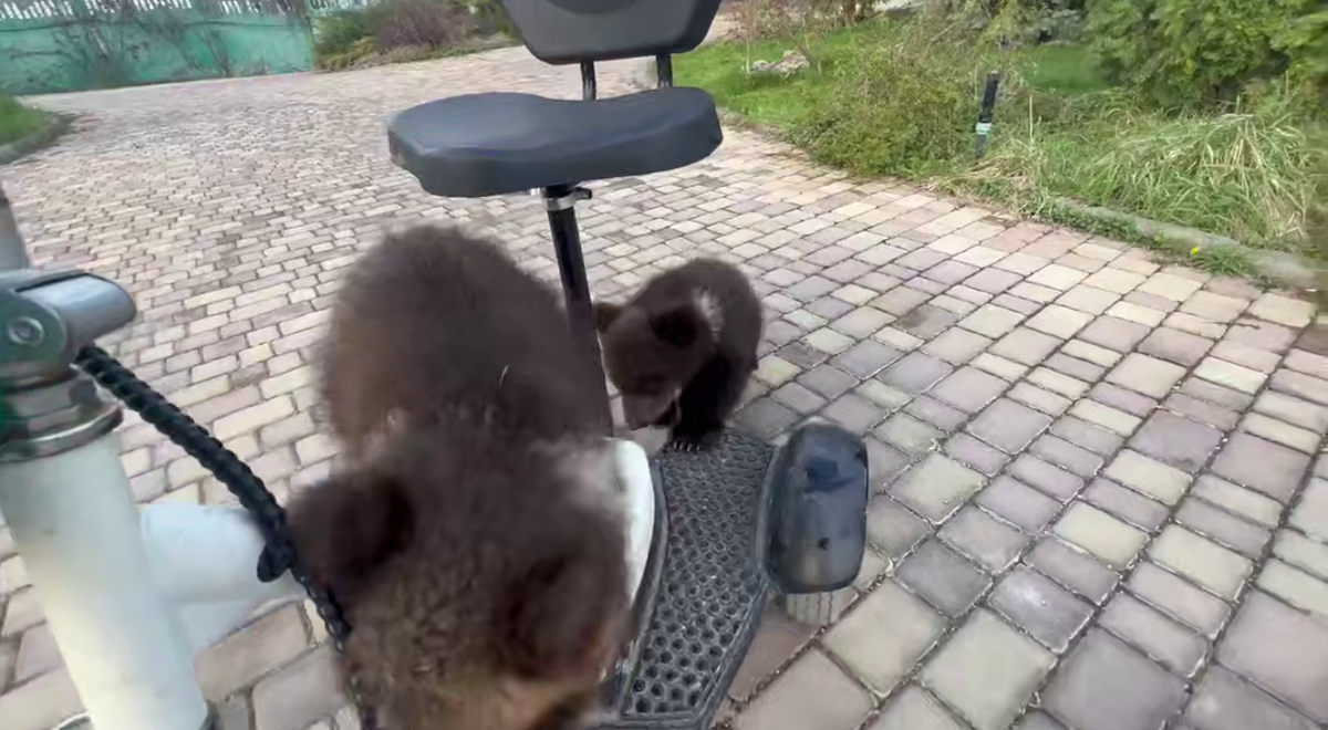 Скриншот из видео из Telegram-канала Олега Зубкова