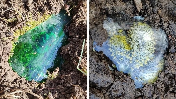 Источник: Яндекс.Картинки