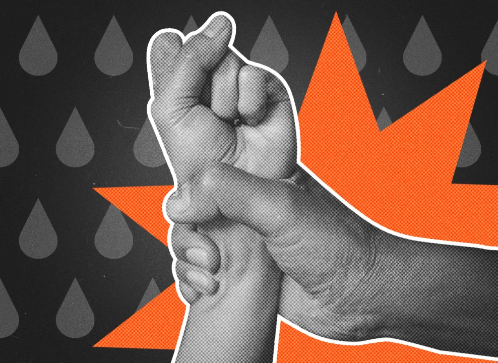 Коллаж с фото: Tinnakorn jorruang | Shutterstock | Fotodom