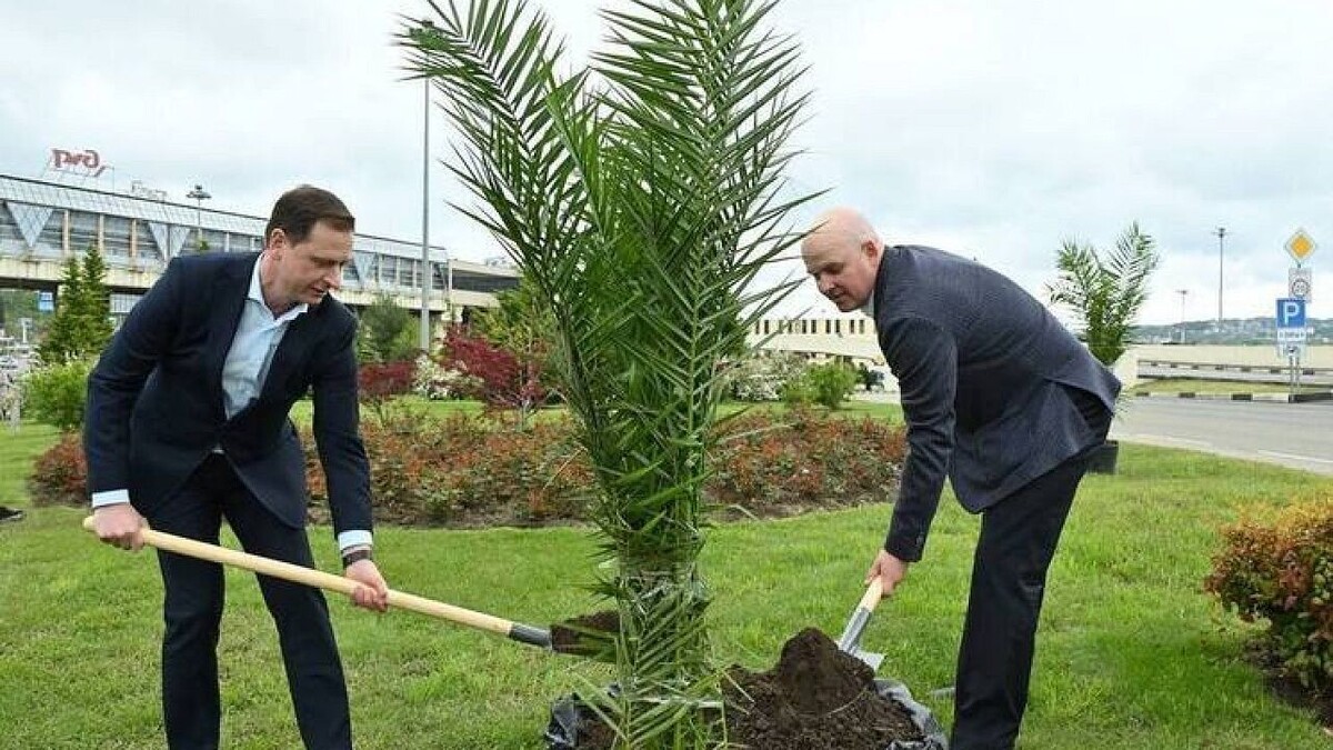    Фото: телеграм-канал «Мэр Сочи Андрей Прошунин»