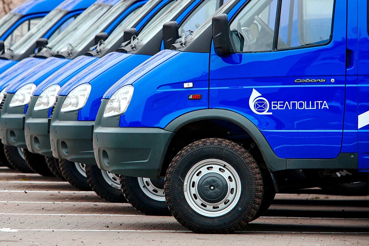    Фото: Tricky_Shark / Shutterstock.com