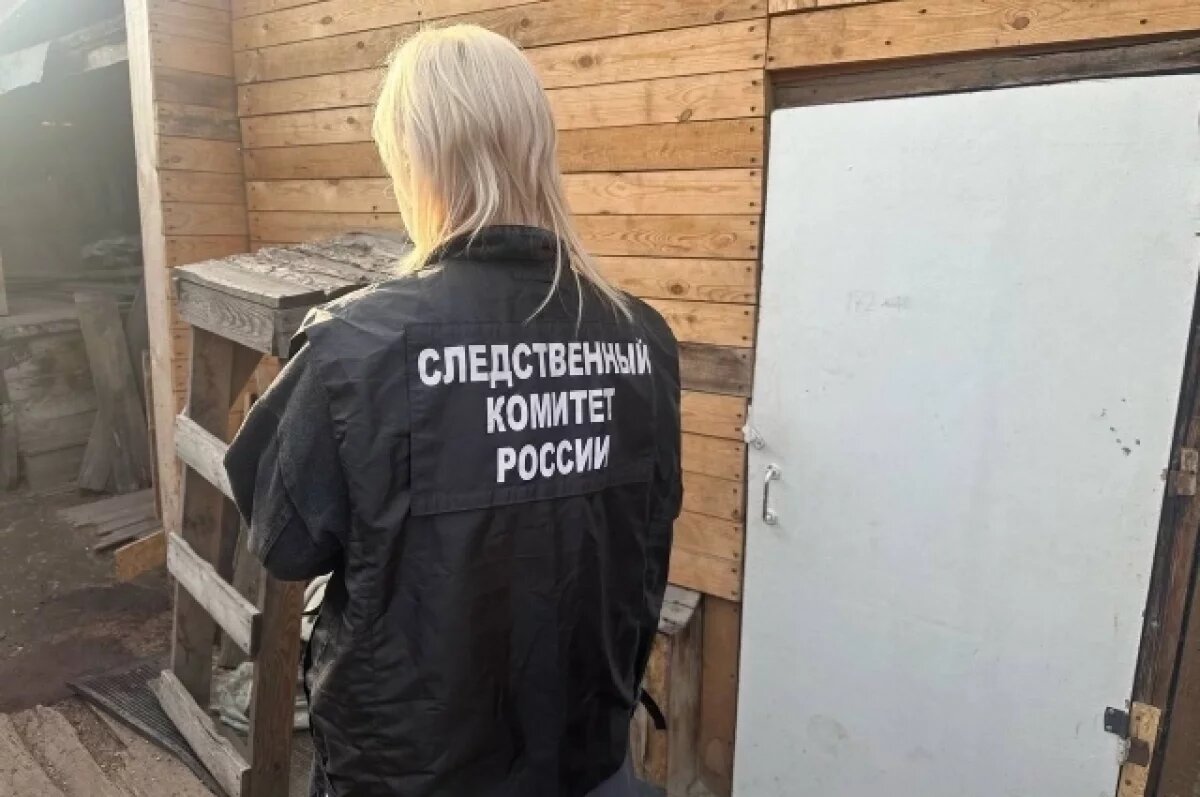    СК предъявил обвинение убившей трех детей матери из Канска