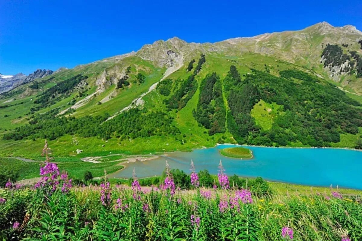 В окрестностях горы Ахун произрастают удивительные реликтовые растения, многие из которых занесены в Красную книгу России.
Фото: пресс-служба администрации Сочи