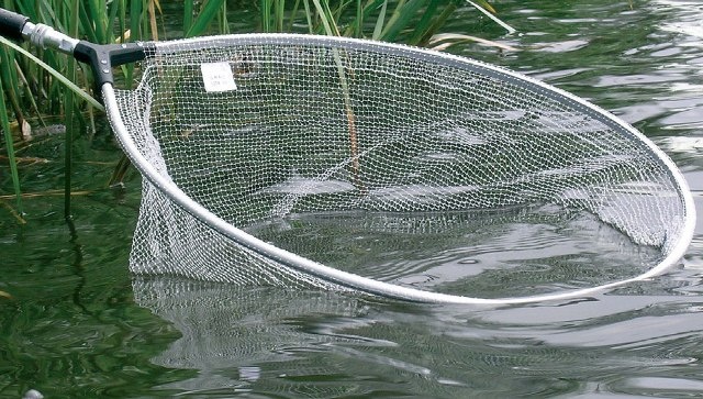 Как правильно использовать подсачек при вываживании рыбы: секреты успеха