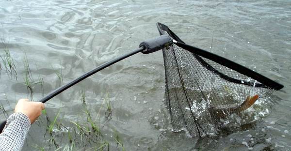 Как правильно использовать подсачек при вываживании рыбы: секреты успеха