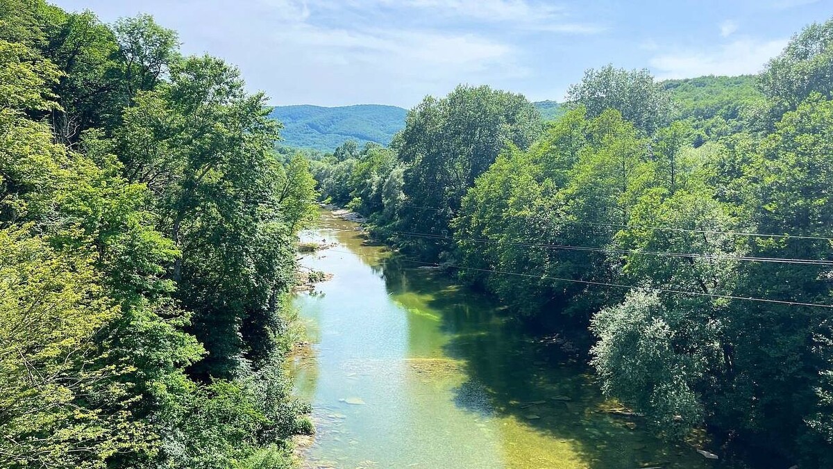    Фото: телеканал «Краснодар»