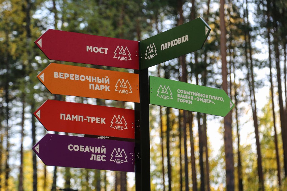    Центральный лес культуры и отдыха в Нягани вышел в финал II Всероссийской премии «Парки России»